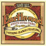 ERNIE BALL 2061 – Zboží Mobilmania