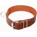 BafPet obojek barvářský – Zboží Dáma