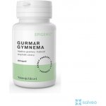 Nástroje Zdraví Gurmar-gymnema Sylvestre 60 kapslí – Hledejceny.cz