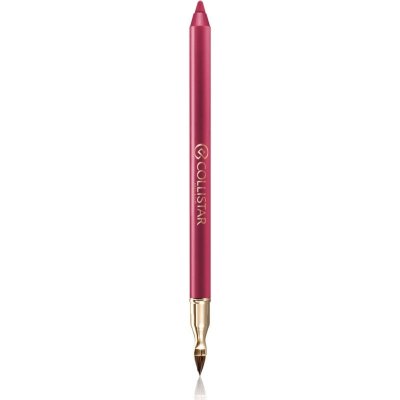 Collistar Professional Lip Pencil dlouhotrvající tužka na rty 113 Autumn Berry 1,2 g