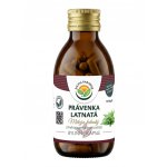 Salvia Paradise Právenka latnatá kapsle 120 ks – Hledejceny.cz