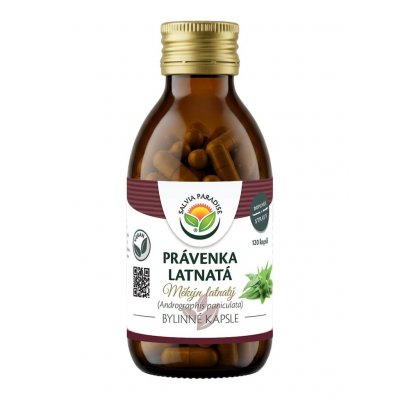 Salvia Paradise Právenka latnatá kapsle 120 ks – Hledejceny.cz