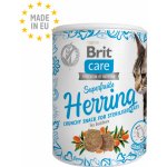 Brit Care Snack Superfruits Herring Dospělé, sterilizované kočky 100 g – Hledejceny.cz