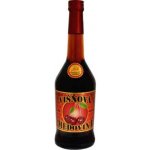 Křivoklátská dezertní medovina Višňová 18% 0,5l – Zboží Dáma