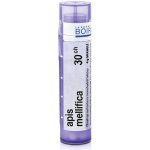 APIS MELLIFICA POR 30CH GRA 1X4G – Sleviste.cz