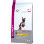 Eukanuba German Shepherd Německý ovčák 12 kg – Hledejceny.cz
