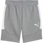 Puma TEAMEVOSTRIPE SHORTS – Zboží Mobilmania