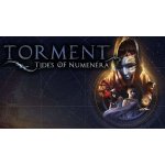 Torment: Tides of Numenera – Zboží Živě