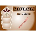 VIZINGR Šipky diplom A4 č.47 Šipky č.47 BEZ TEXTU – Hledejceny.cz