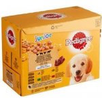 Pedigree Junior kuřecí a jehněčí & drůběží a hovězí s rýží v želé 12 x 100 g – Hledejceny.cz
