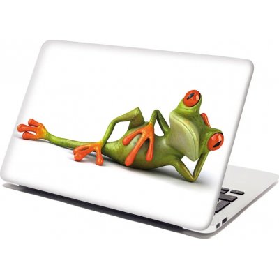 Sablio Samolepka na notebook Ležící žába - 38x26 cm – Zboží Živě