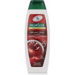 Palmolive Naturals Brilliant Color šampon 350 ml – Sleviste.cz