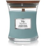 WoodWick Evergreen Cashmere 609,5 g – Zboží Dáma