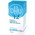 CALCIUM SULFURICUM DHU POR D6 TBL NOB 200 – Hledejceny.cz