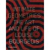 Kniha Intimate Geometries Storr Robert