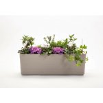 Samozavlažovací truhlík Plastia BERBERIS 80 komplet set taupe-slonová kost – Sleviste.cz