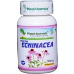 Planet Ayurveda Indická Echinacea extrakt 10:1 500 mg 60 kapslí – Hledejceny.cz