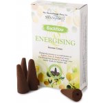 Stamford Vonné kužely Tekoucí dým Energising 12 ks – Zboží Dáma