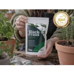 Black Frass PREMIUM Organické hmyzí hnojivo 0,7 l – Hledejceny.cz