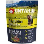 Ontario Adult Mini Lamb & Rice 100 g – Hledejceny.cz