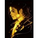 Norimpex diamantové malování Michael Jackson 30 x 40cm – Sleviste.cz