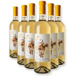 Danieli Winery KISI polosladké bílé víno 12% 6 x 0,75 l (holá láhev) – Hledejceny.cz