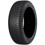 Dunlop Wintertrail 195/65 R15 91T – Hledejceny.cz