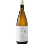 Zlaty Roh Riesling 2022 Bílé 13,5% 0,75 l (holá láhev) – Hledejceny.cz