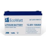 EcoWatt 12,8V 100Ah – Zboží Živě