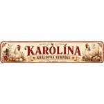 Bezvadary.cz | Dárková cedulka pro chovatelku slepic s vlastním textem 52x11 cm originál / Hliníkový sendvič tl. 3mm / se sadou 2ks přísavek zd8 – Hledejceny.cz