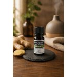 Ancient Wisdom Zázvor bio 100% éterický olej 10 ml – Hledejceny.cz