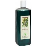 Schupp koupelový olej eukalyptus 1000 ml – Sleviste.cz