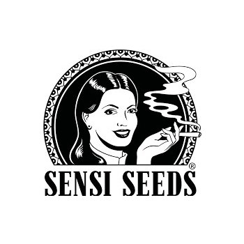 Sensi Seeds Mexican Sativa semena neobsahují THC 3 ks