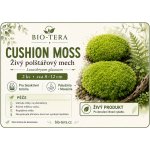 Bio-Tera Cushion Moss 50 g – Zboží Mobilmania