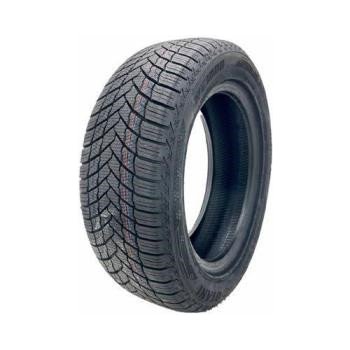 Otani WE1000 205/60 R16 92H