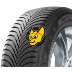 Michelin Alpin 5 295/30 R21 102V