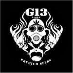 G13 Labs Seeds Blue Venom semena neobsahují THC 5 ks – Zboží Dáma G13 Labs Seeds Blue Venom semena neobsahují THC 5 ks – Zboží Dáma