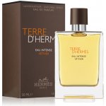 Hermès Terre d'Hermès Eau Intense Vetiver parfémovaná voda pánská 50 ml – Hledejceny.cz