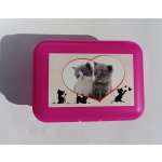 Tvar box svačinový dětský dekor plast – Zboží Dáma