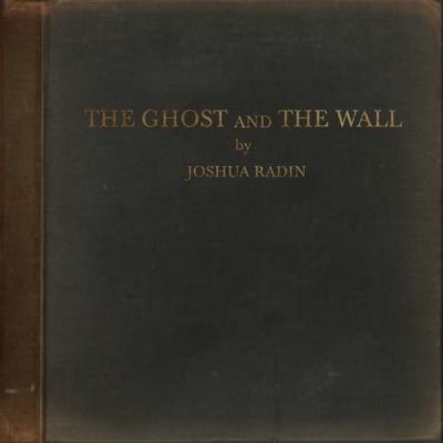 The Ghost and the Wall - Joshua Radin LP