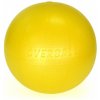 Gymnastický míč Gymnic Overball 25 cm