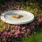 Wildlife World Ptačí pítko Theatre – Zboží Mobilmania