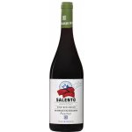 Paololeo Primitivo Agricolo Biologico 14% 0,75 l (holá láhev) – Hledejceny.cz