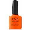 UV gel CND Shellac UV Color POPSICLE PICNIC 7,3 ml