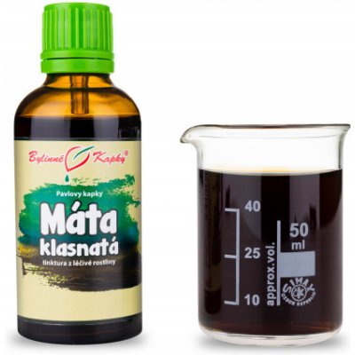Bylinné kapky Pavlovy bylinné kapky Máta klasnatá tinktura 50 ml – Hledejceny.cz