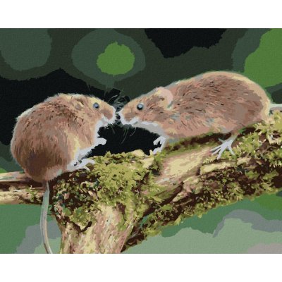 Malování podle čísel Dvě myšky v lese