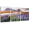 Obraz Impresi Obraz Horská krajina s květinami - 150 x 70 cm (3 dílný)