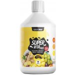 Czech Virus Supervita Pro V2.0 500 ml – Zboží Mobilmania