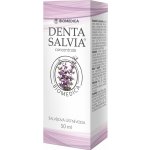 Denta Salvia concentrate šalvějová 50 ml – Hledejceny.cz