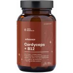 Aura Herbals Mycodrop Cordyceps 30:1 + B12 60 kapslí – Hledejceny.cz